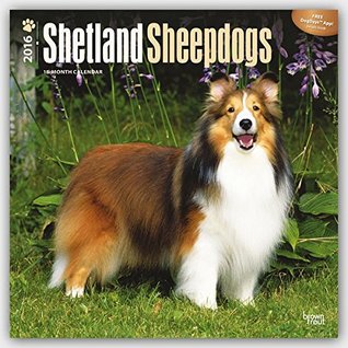 Read Online Shetland Sheepdogs 2016 Square 12x12 (Multilingual Edition) -  | PDF