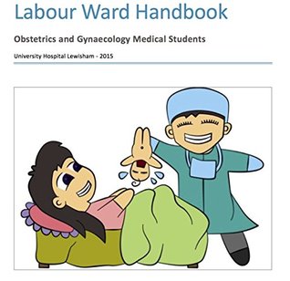 Read Online Medical Student Labour Ward Handbook: For medical students in Obstetrics and Gynaecology at University Hospital Lewisham - Mark Harmon | ePub