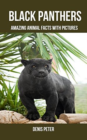 Full Download Black Panthers: Amazing Animal Facts With Pictures - Denis Peter file in ePub